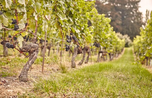 Essertines-sur-Rolle House | Domaine Beauregard