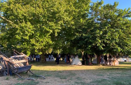 Aurons Hotel | Domaine de la Reynaude