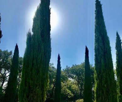 Mondragon Bed & Breakfast | Domaine du Commandeur