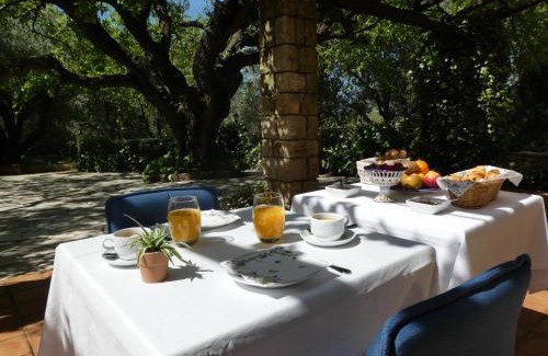 Mougins House | Domaine du Paradis des Oiseaux