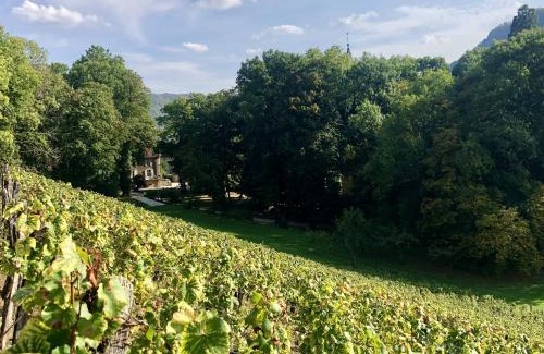 Nevy-sur-Seille House | Domaine GUIET