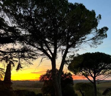 Pomport House | Domaine Les Olivoux