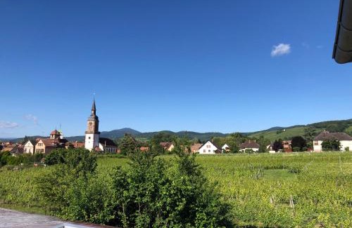 Gertwiller House | Domaine Rosfelder - locations de gîte et cabane insolite