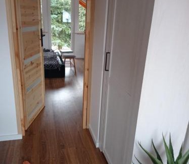 Rydzewo House | Domek BOHO