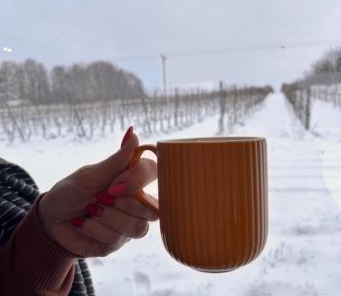 Czernichow House | Domek na Winnicy Zagrabie