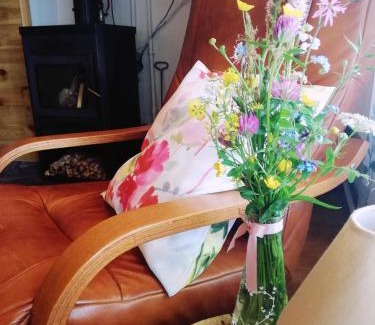 Czarna Gora Ski Chalet | Domek pod Brzozami - zniżki na Termy i Rowery !