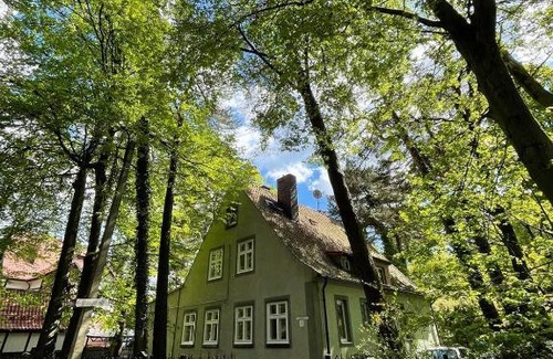 Svetlogorsk House | Domik na Sadovoy