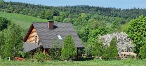 Nowica House | Domki Na Wzgórzu