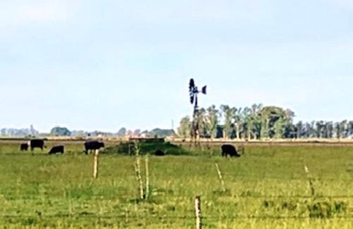 Partido de Carmen de Areco House | Don Luis Bueno