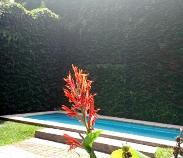 Constitucion Apartment | Donde el alma sonrie AHI ES piscina jardin facil acceso por Avda 9 de Julio