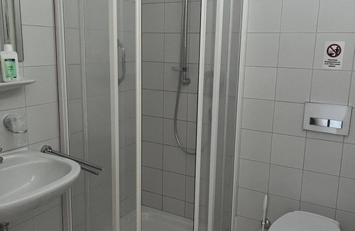 Falkenstein/Vogtl. House | Doppelzimmer, Dusche, WC, Balkon - Green Night