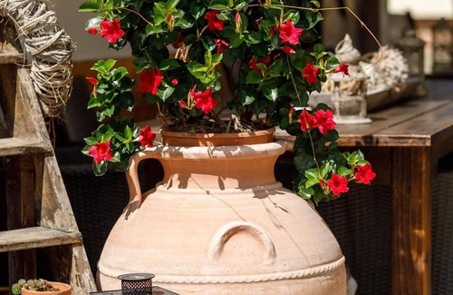 Morbisch am See Cottage | Doppelzimmer mit Balkon Seeseite - Pension Laubenhof