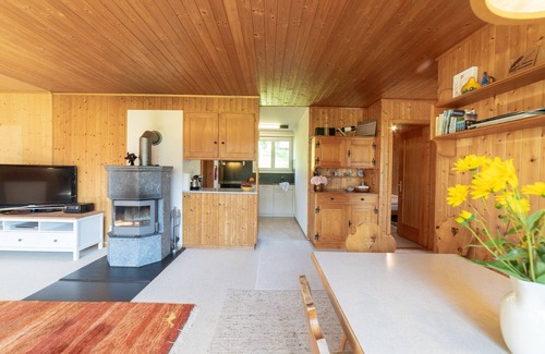 Wildhaus-Alt St. Johann Ski Chalet | Dorea holiday home with mountain views