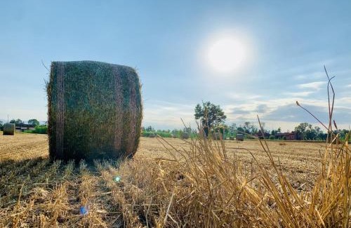 Savigliano House | DorMire