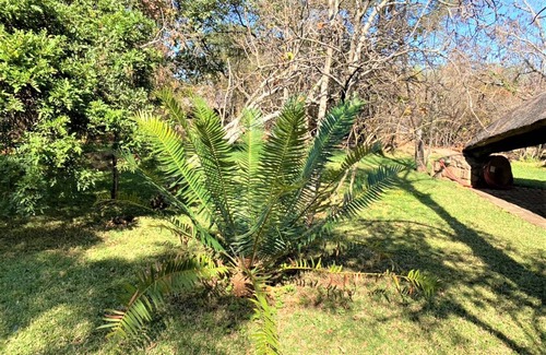 Bulawayo Apartment | Double Lodge in Natural African Bush - 2111