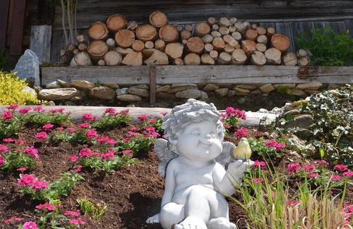 Pichl-Preunegg Apartment | Double room on the ground floor with shower, toilet - Fresoldhof