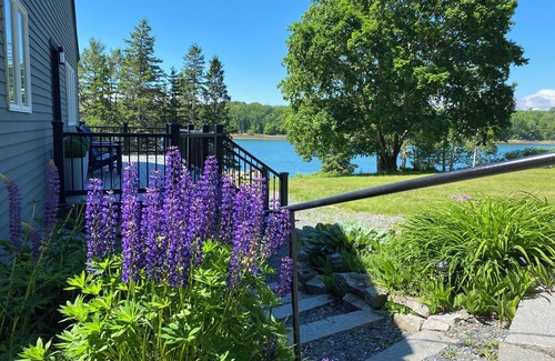 Sullivan House | DownEast ocean bay waterfront home sleeps 6. 35 min. to Acadia and Bar Harbor.