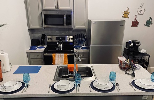 Downtown Rochester Apartment | Downtown -10 mins to airport, hospitals- steps to B-C arena~ free parking, wifi