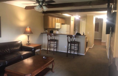 Branson Hotel | Downtown 1BR Condo in Great Rock Resort