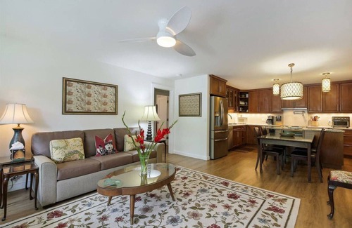Aspen Condo | Downtown Aspen 2BR w/Free Airport Transfer - Walk to Lifts!