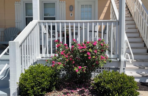 Ocean City Condo | 🏖️ Downtown 🐶 Pet Friendly 🐳 2 Bedroom 🐬 Pool 🐚 WiFi 🦞 Beach - 2 blocks