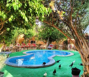 Siwa Hotel | Dream Lodge Siwa دريم لودج سيوة