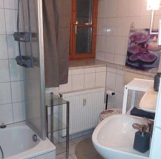 Furstenstein Apartment | Dreiburgen Ferienwohnung Schlossblick