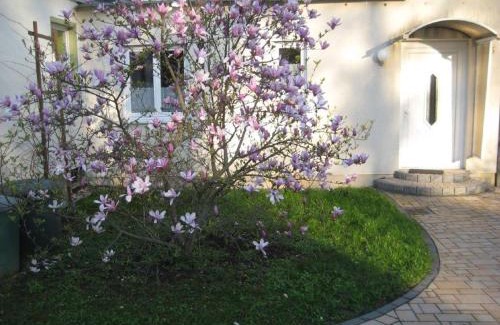 Leubnitz-Neuostra House | Dresden, Ferienhaus Strietzel