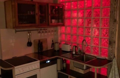 Loschwitz Apartment | Dresden: Studio apartment near the Elbe with garden and workshop sauna