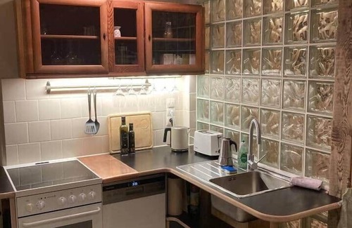 Loschwitz Apartment | Dresden: Studio apartment near the Elbe with garden and workshop sauna