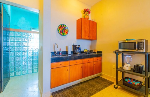 Centro - Supmza 001 Villa | 😎 🏖Dual Oceanfront Suites Million 💵 Sunrise 🌅 View + Pool Walk to N Beach