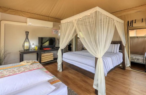 Dubbo Other | Dubbo Rhino Lodge