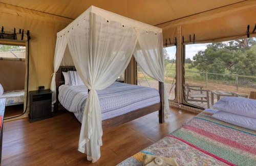 Dubbo Other | Dubbo Rhino Lodge