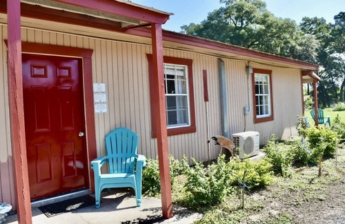 Trilby Apartment | Duck Haven - Wildlife Sanctuary - 5 miles to I75