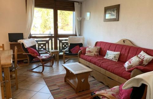Les Carroz-d'Araches Apartment | Duplex 6/8 Pers Télécabine des Carroz (ES116)