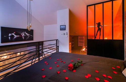 Bourgoin-Jallieu Apartment | Duplex coup de coeur