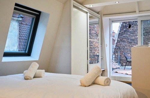 Old Lille Apartment | Duplex Rue Royale, rooftop, balnéo spa