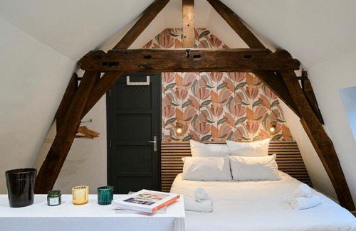 Old Lille Apartment | Duplex Rue Royale, rooftop, balnéo spa