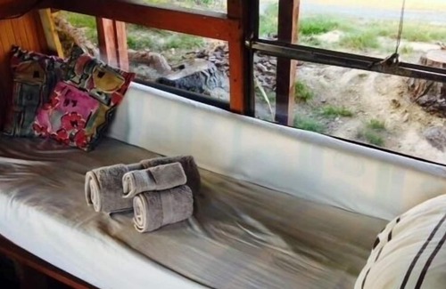 Blenheim Other | Dusk Till Dawn Forrest 360 Views