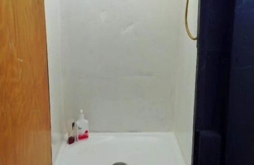 Blenheim Other | Dusk Till Dawn Forrest 360 Views