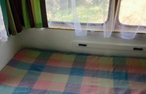 Blenheim Other | Dusk Till Dawn Forrest 360 Views