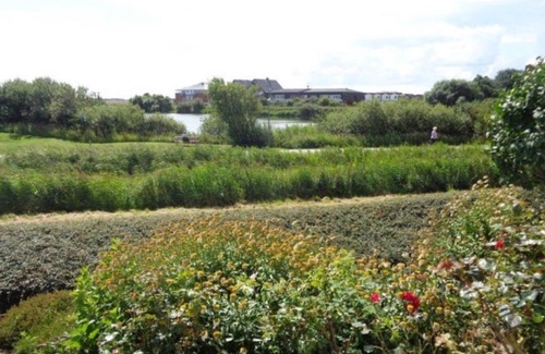 Norderhafen Apartment | Dyke nest directly on the outer dike with a wonderful view over the north beach