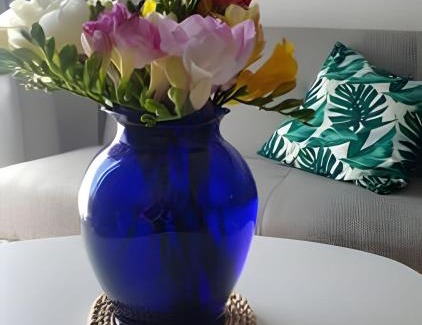 Villa Crespo Apartment | E&G BA Apartaments Velasco. Piscina