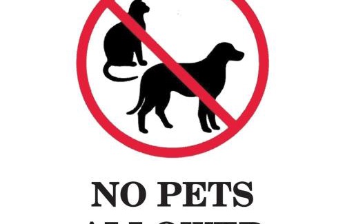 Palmer Hotel | Eagle Hotel