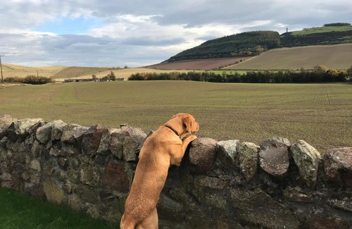 Cupar House | East Cottage Parbroath Farm near Cupar in Fife