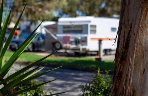 Windsor Gardens Resort | Echo Holiday Parks - Windsor Gardens