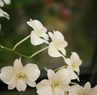 Hualien House | Echovilla B&B II