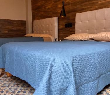 Centro Historico Hotel | Eco-Hotel Black Tree