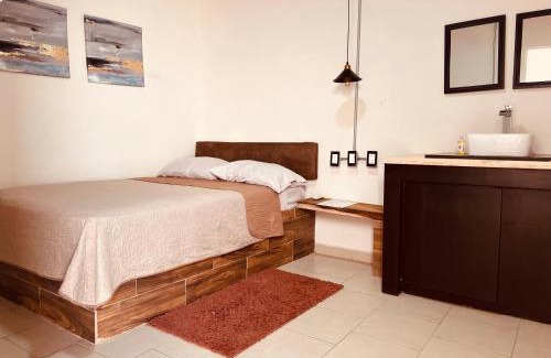 Centro Historico Hotel | Eco-Hotel Black Tree
