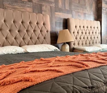 Centro Historico Hotel | Eco-Hotel Black Tree